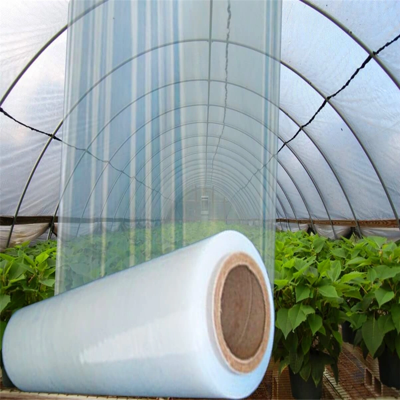 Transparent Anti-UV Greenhouse Film Plastic Film for Greenhouse Cover