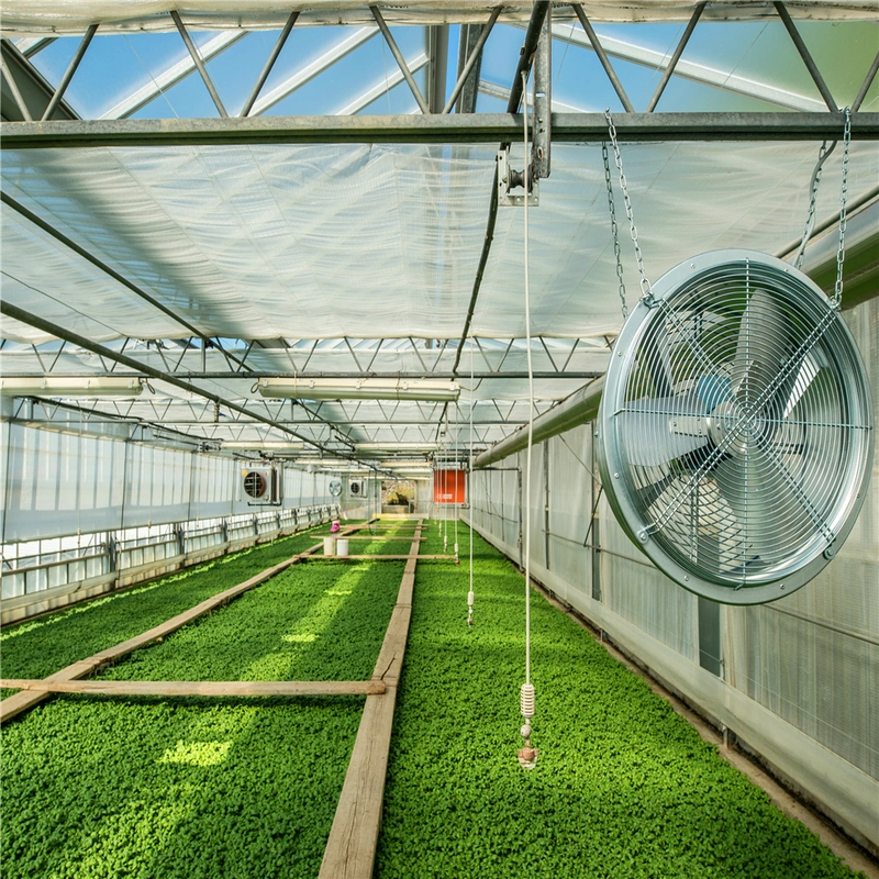 Multi Span Large Greenhouse Air Circulation Fan for Fresh Air Ventilation