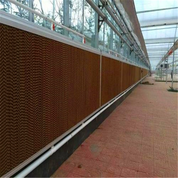 Factory Price Commercial Film Multi-Span Greenhouse Cooling System Assembly Cooling Wet Curtain