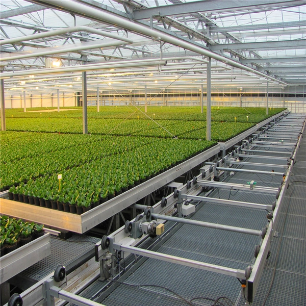 Cheap Aluminum Greenhouse Seedbed for Commercial Agriculture