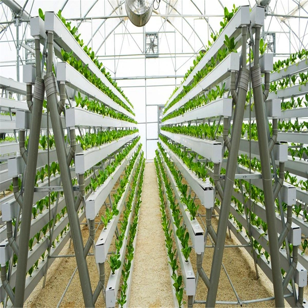 Hot Sale Hydroponic Channel System in Greenhouse and Farm Nft Channels for Hydroponic Growing