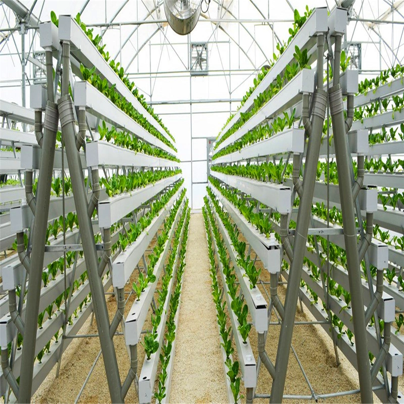 Hot Sale Hydroponic Channel System in Greenhouse and Farm Nft Channels for Hydroponic Growing