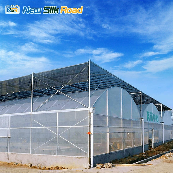 Agricultural Multi Span Plastic Film Greenhouse With Hydroponics Growing System 