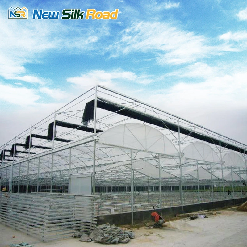 Agricultural Multi Span Plastic Film Greenhouse With Hydroponics Growing System 