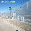 Agricultural Multi Span Plastic Film Greenhouse With Hydroponics Growing System 