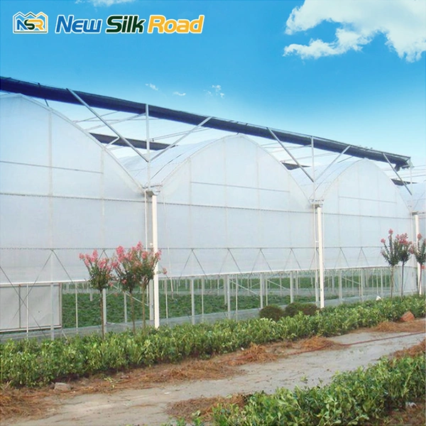 Agriculture Multi-span Gothic Greenhouse For Hydroponic Tomatoes