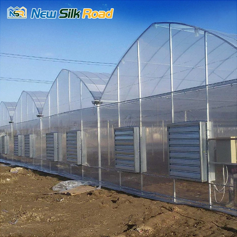 Agriculture Multi-span Gothic Greenhouse For Hydroponic Tomatoes