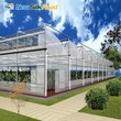 Agricultural  Multi-span Tropical Sawtooth Greenhouse for planting