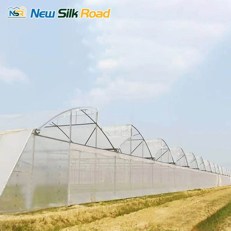 Agricultural  Multi-span Tropical Sawtooth Greenhouse for planting