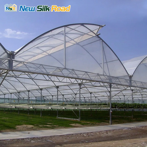 Agricultural  Multi-span Tropical Sawtooth Greenhouse for planting