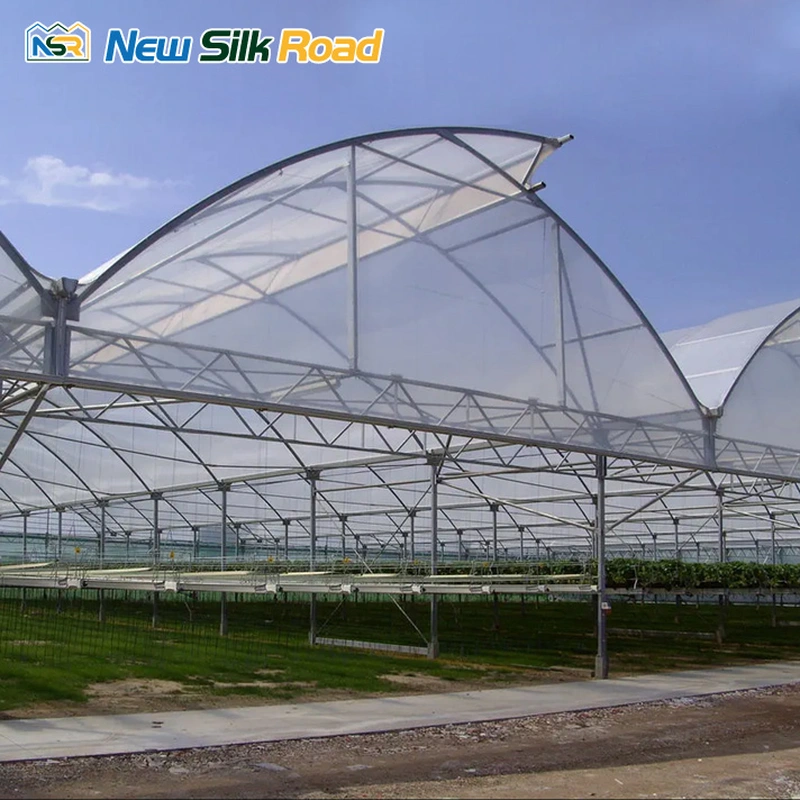 Agricultural  Multi-span Tropical Sawtooth Greenhouse for planting