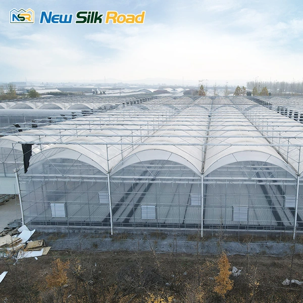 Agricultural Multi-Span Double Arch Plastic Film Greenhouse