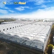 Agricultural Multi-Span Double Arch Plastic Film Greenhouse