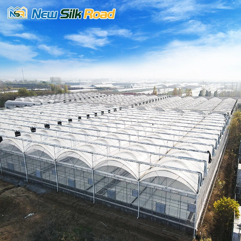 Agricultural Multi-Span Double Arch Plastic Film Greenhouse