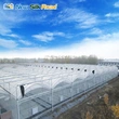 Agricultural Multi-Span Double Arch Plastic Film Greenhouse