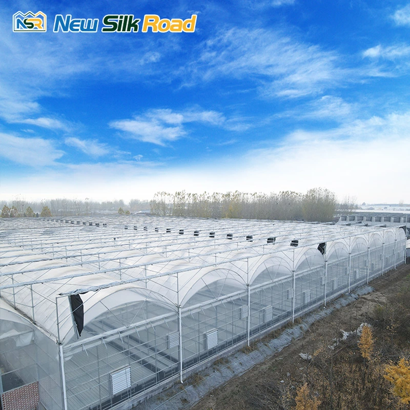 Agricultural Multi-Span Double Arch Plastic Film Greenhouse