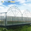 Agricultural Multi-Span Double Arch Plastic Film Greenhouse