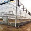 Agricultural Multi-Span Double Arch Plastic Film Greenhouse