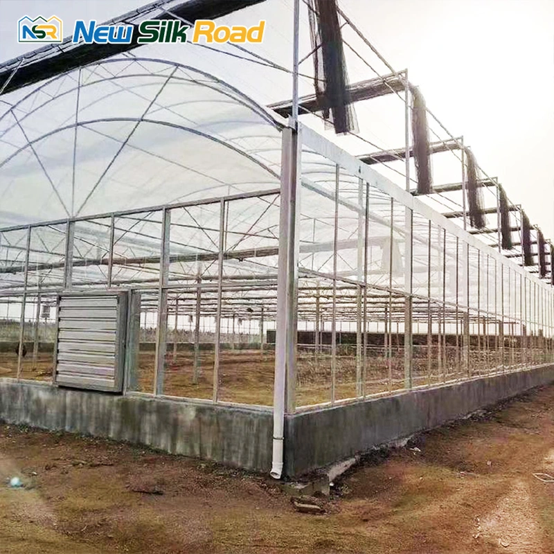 Agricultural Multi-Span Double Arch Plastic Film Greenhouse