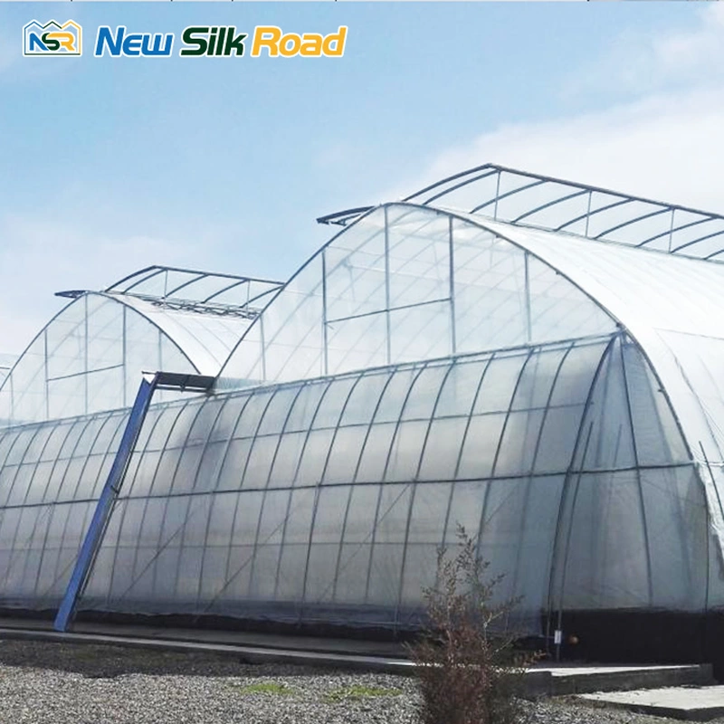 Agricultural Multi-Span Double Layer Plastic Film Greenhouse