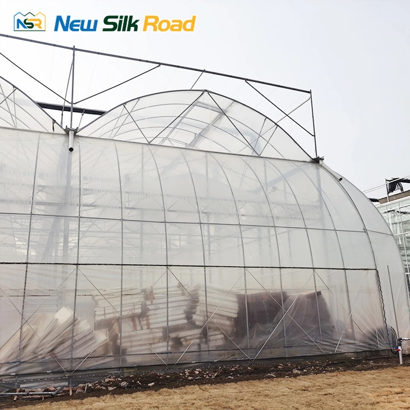 Agricultural Multi-Span Double Layer Plastic Film Greenhouse
