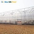 Agricultural Multi-Span Double Layer Plastic Film Greenhouse