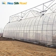 Agricultural Multi-Span Double Layer Plastic Film Greenhouse