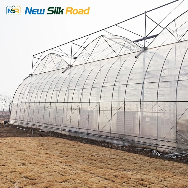 Agricultural Multi-Span Double Layer Plastic Film Greenhouse