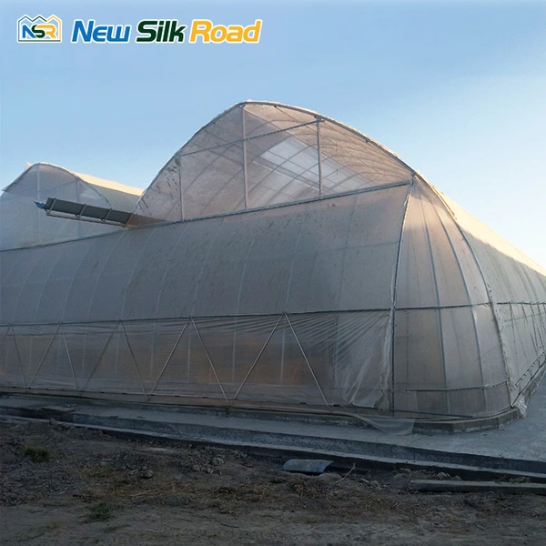 Agricultural Multi-Span Double Layer Plastic Film Greenhouse