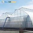 Agricultural Multi-Span Double Layer Plastic Film Greenhouse