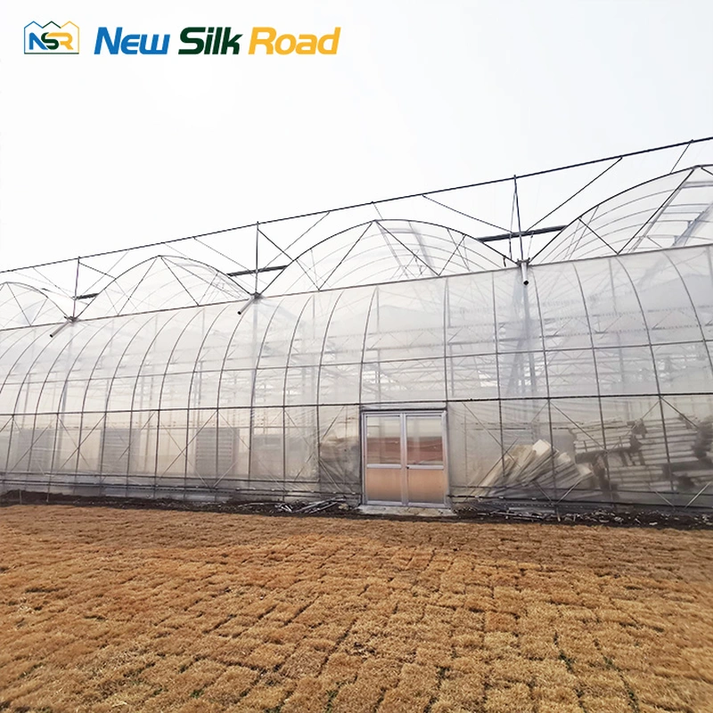 Agricultural Multi-Span Double Layer Plastic Film Greenhouse