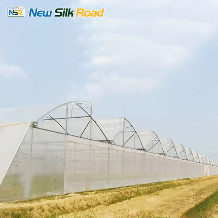 Tropical Sawtooth Greenhouse for Hot Climate Farming