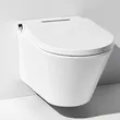 Intelligent Toilet White
