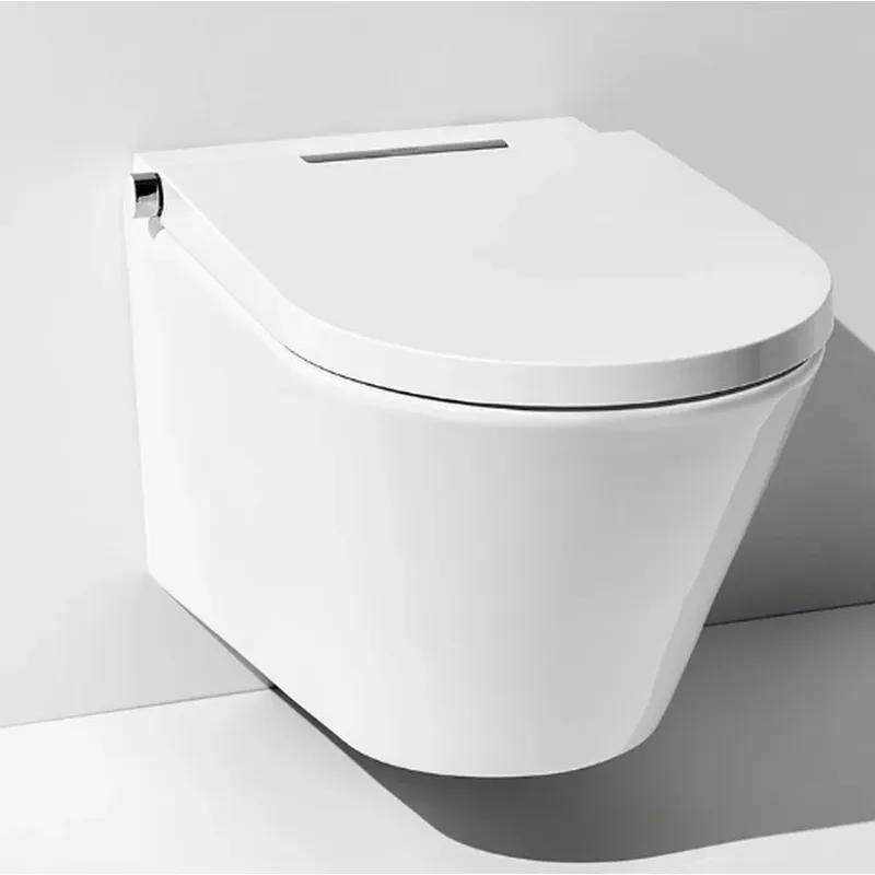 Intelligent Toilet White