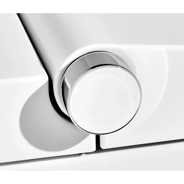 Intelligent Toilet White