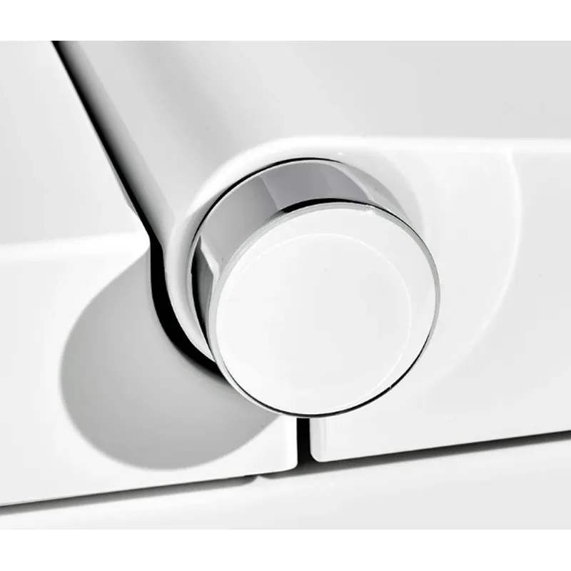 Intelligent Toilet White