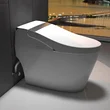 Floor Mounted Toilets - One-Piece Toilet