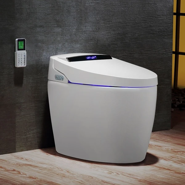 Floor Mounted Elongated Toilet and Bidet with Seat