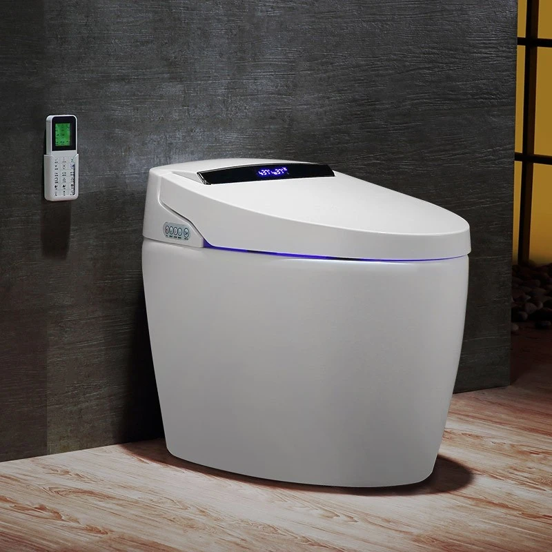 Floor Mounted Elongated Toilet and Bidet with Seat