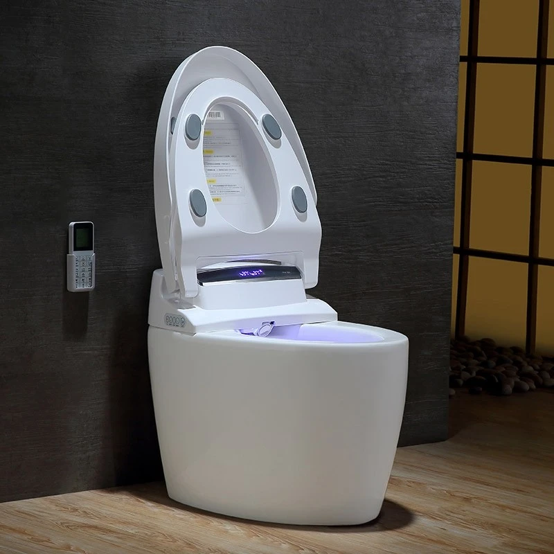 Floor Mounted Elongated Toilet and Bidet with Seat