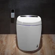 Floor Mounted Elongated Toilet and Bidet with Seat