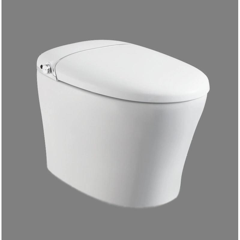 White Floor Mounted Elongated Toilet