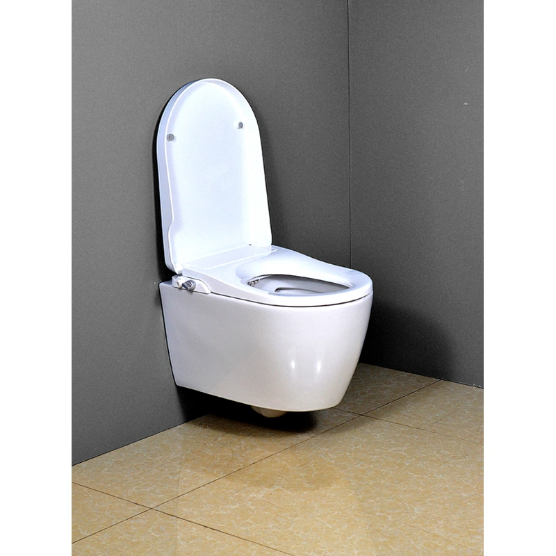 wall hung wc pan