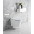 Wall Mounted bidet wash smart toilet with night light