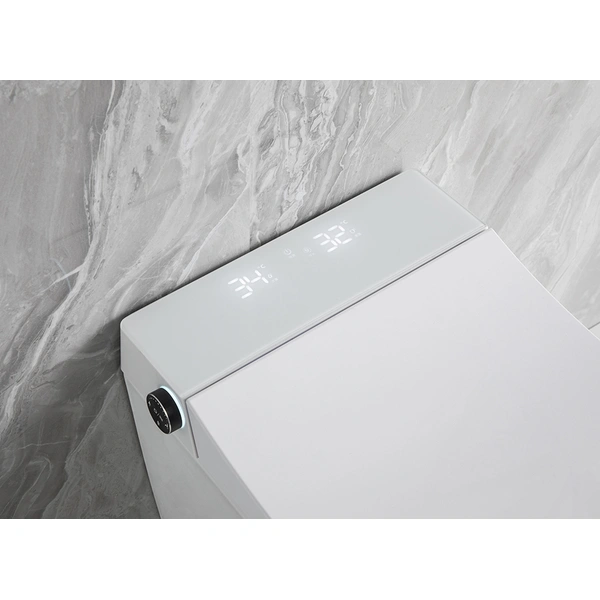 Wall Mounted bidet wash smart toilet with night light