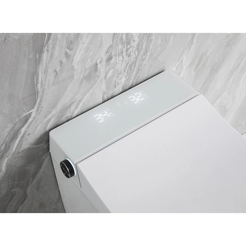 Wall Mounted bidet wash smart toilet with night light