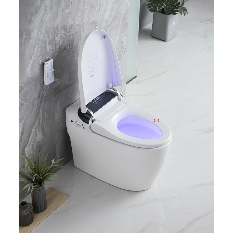 Bidet auto wash smart toilet with remote control