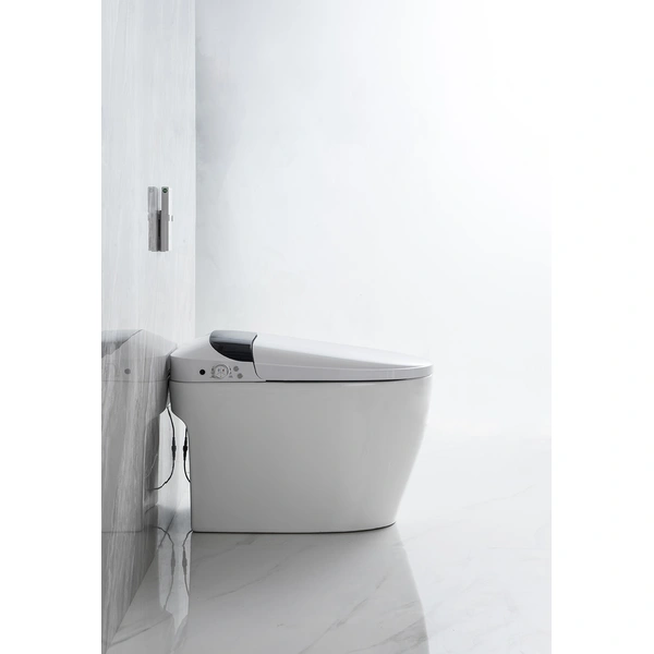 Bidet auto wash smart toilet with remote control