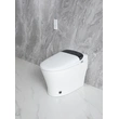 fully skirted toilet, luxury smart wc