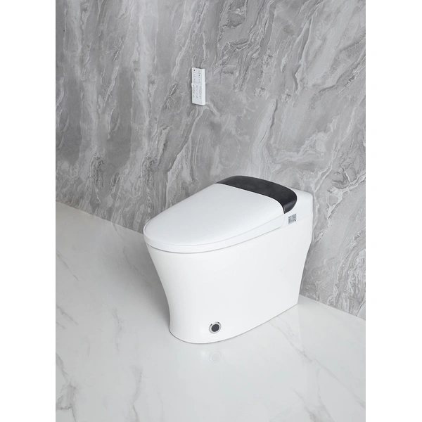 fully skirted toilet, luxury smart wc